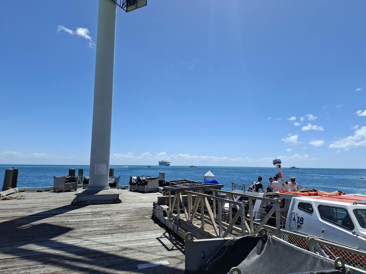 manderleyss's tweet photo. we went to spooky island in march and I just think that’s neat @Tangalooma https://t.co/aPrs1rHNNI