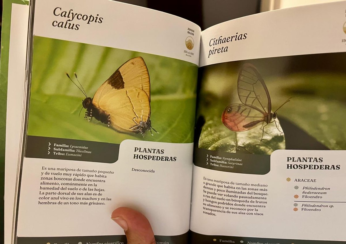 Javier Valencia G. tweet media