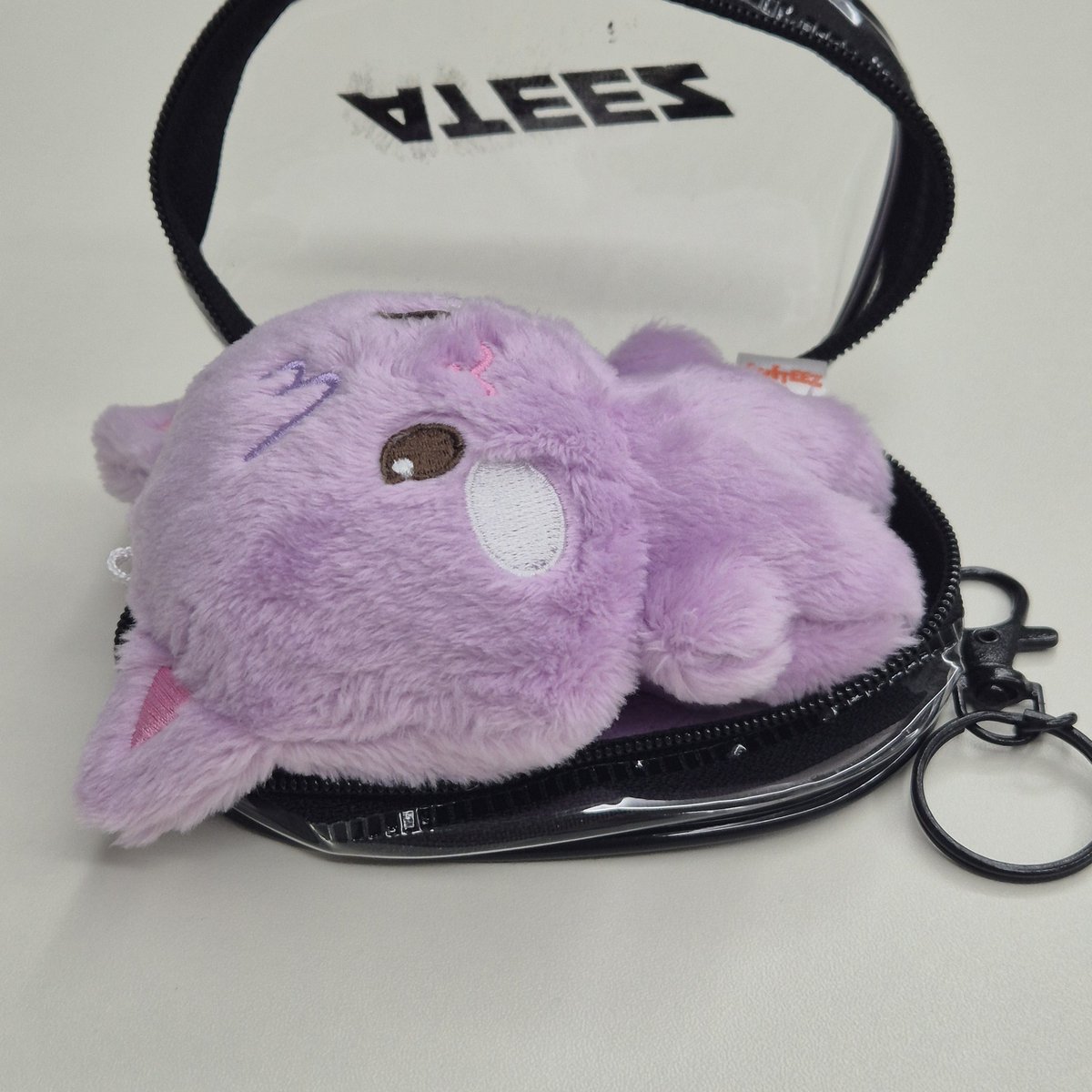 ㅅㅂ 타이니도 안들어가는데 뭘쳐넣고다니라고요 ㅋㅋ