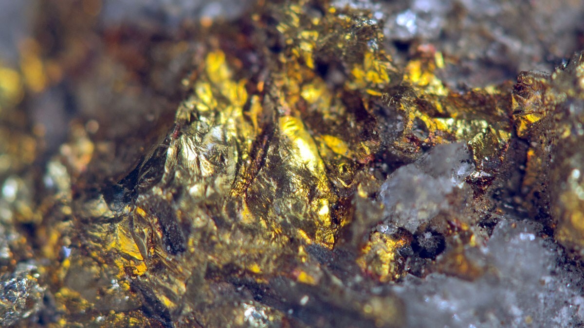 カラパイア tweet media