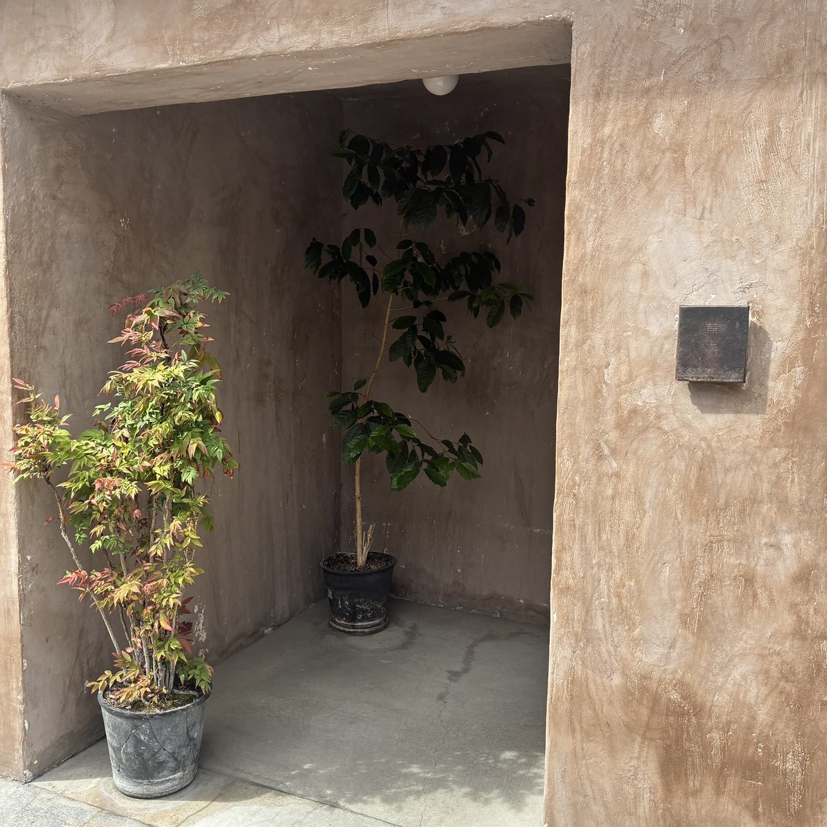 ふかふか愛莉 tweet media