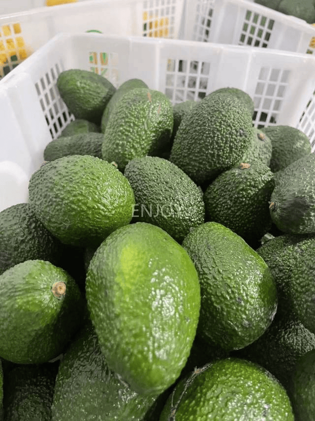 Fabian Pausch tweet media