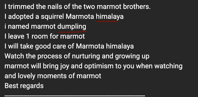 The Quantski tweet media