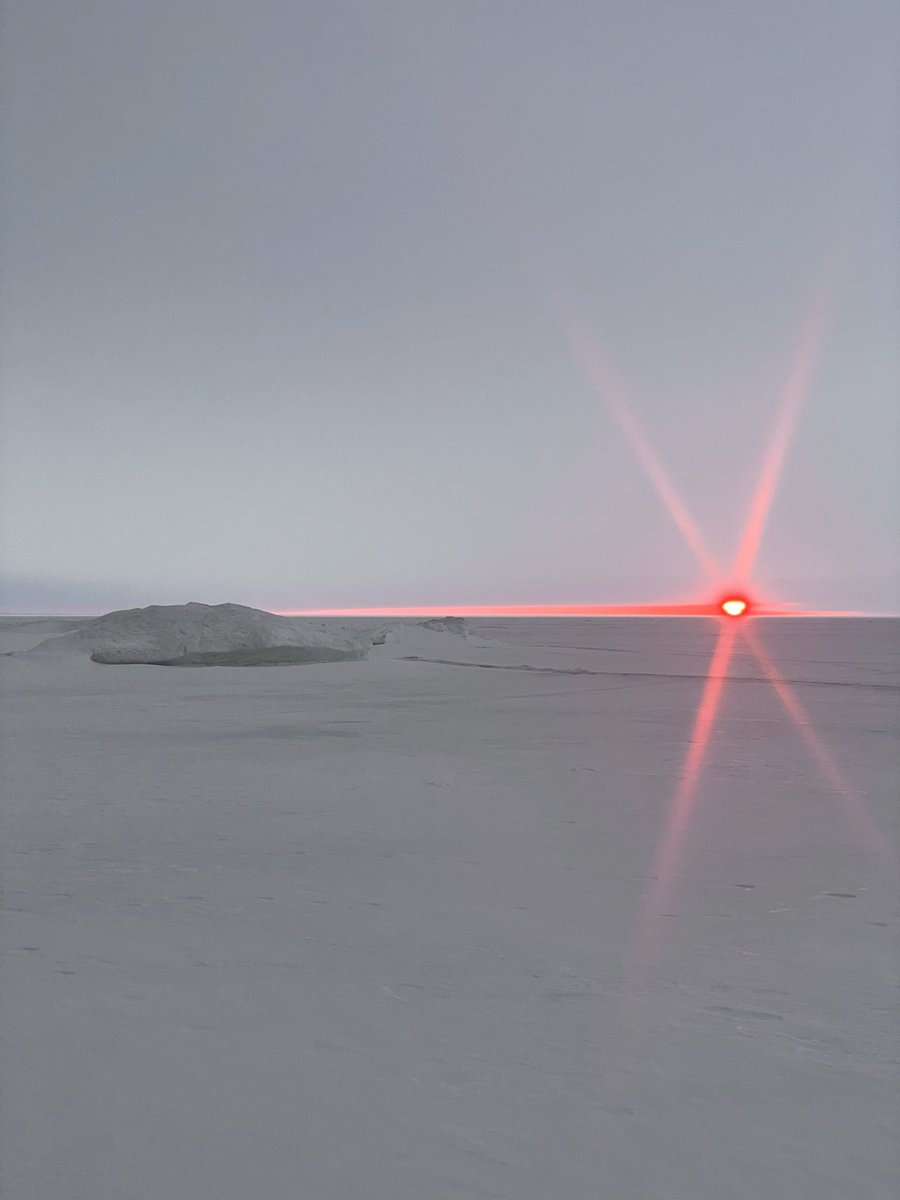 R. Daneel d’Anconia tweet media