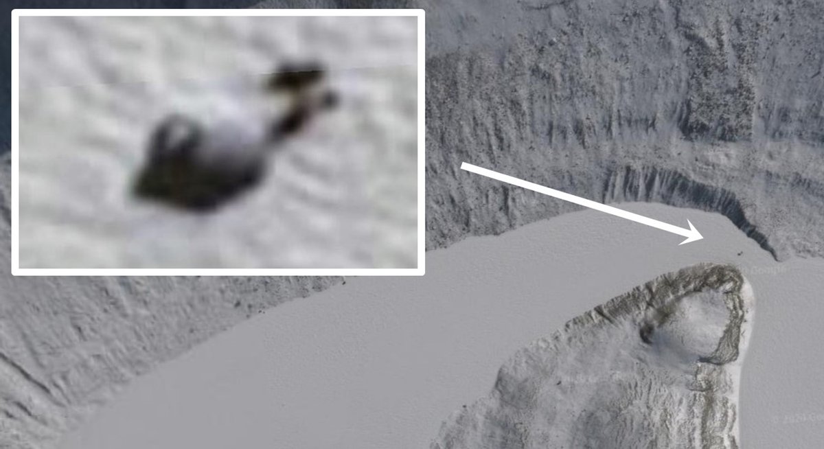 UFO mania tweet media