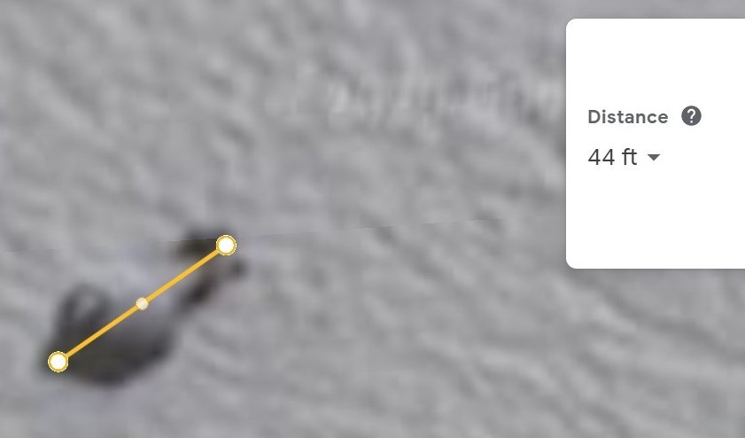 UFO mania tweet media