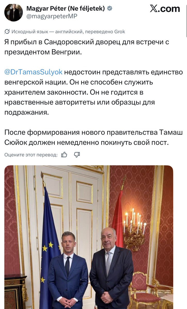 Дaмир 🍯 tweet media