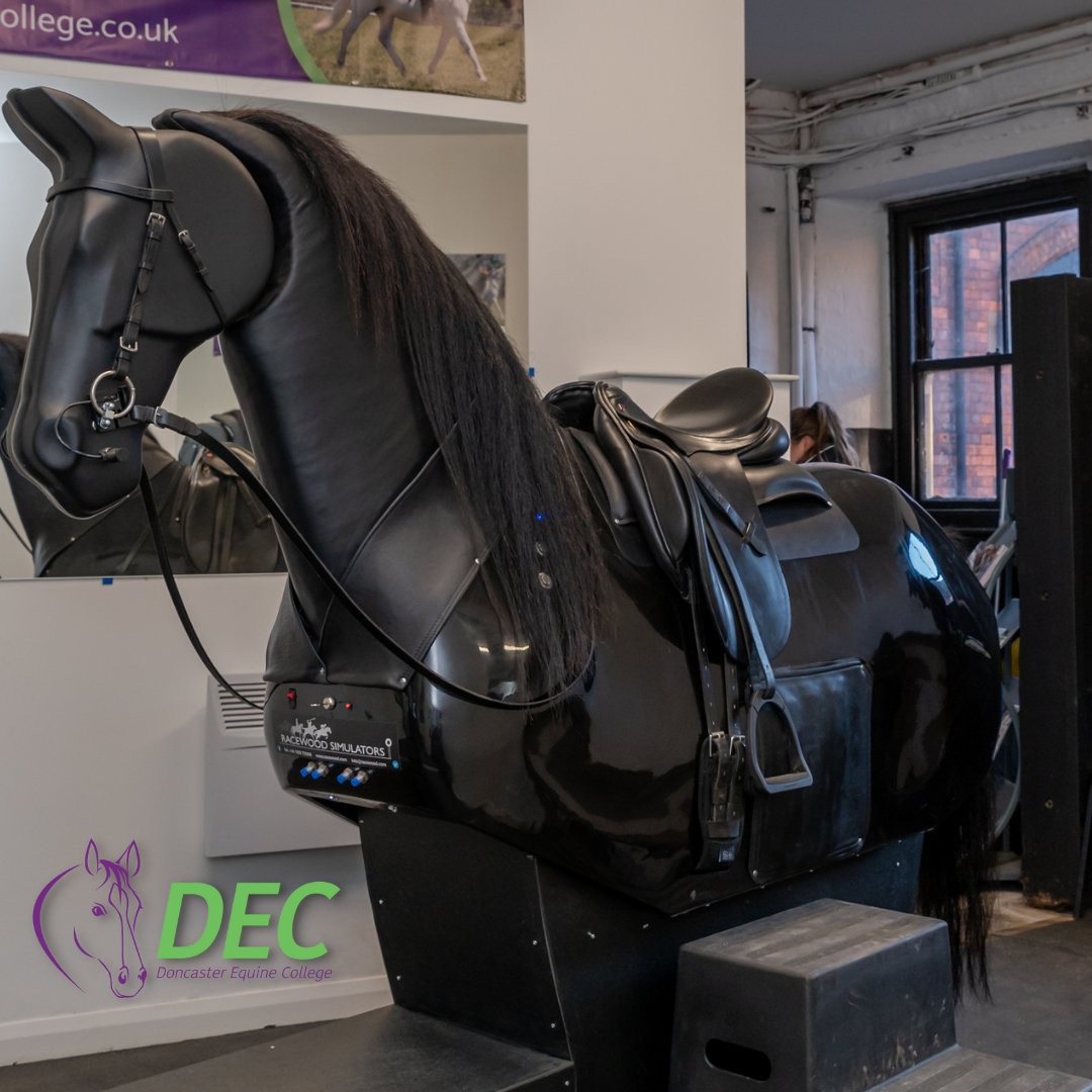 DECDoncaster's tweet image. Thinking about your training for 2026?

Why not hire our Dressage Simulator? 🐴

For more information visit 👉 bit.ly/NHCFacilityHire

To book please contact Natalie Mitchell: 
📞 01302 861000 
📩info@doncasterequinecollege.co.uk
#Equine #Equestrian #Horses #Horseriding