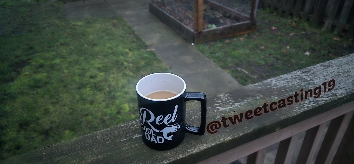 tweetcasting19's tweet image. Another wet morning birds dont mind tho🐦☕️.
Have a great day people.
#Ontario #Morning