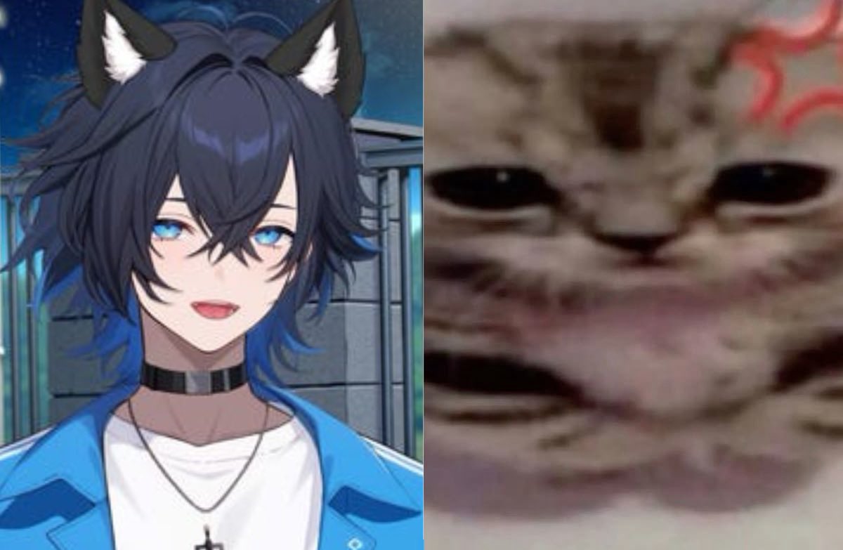 DailyKokiTV tweet media