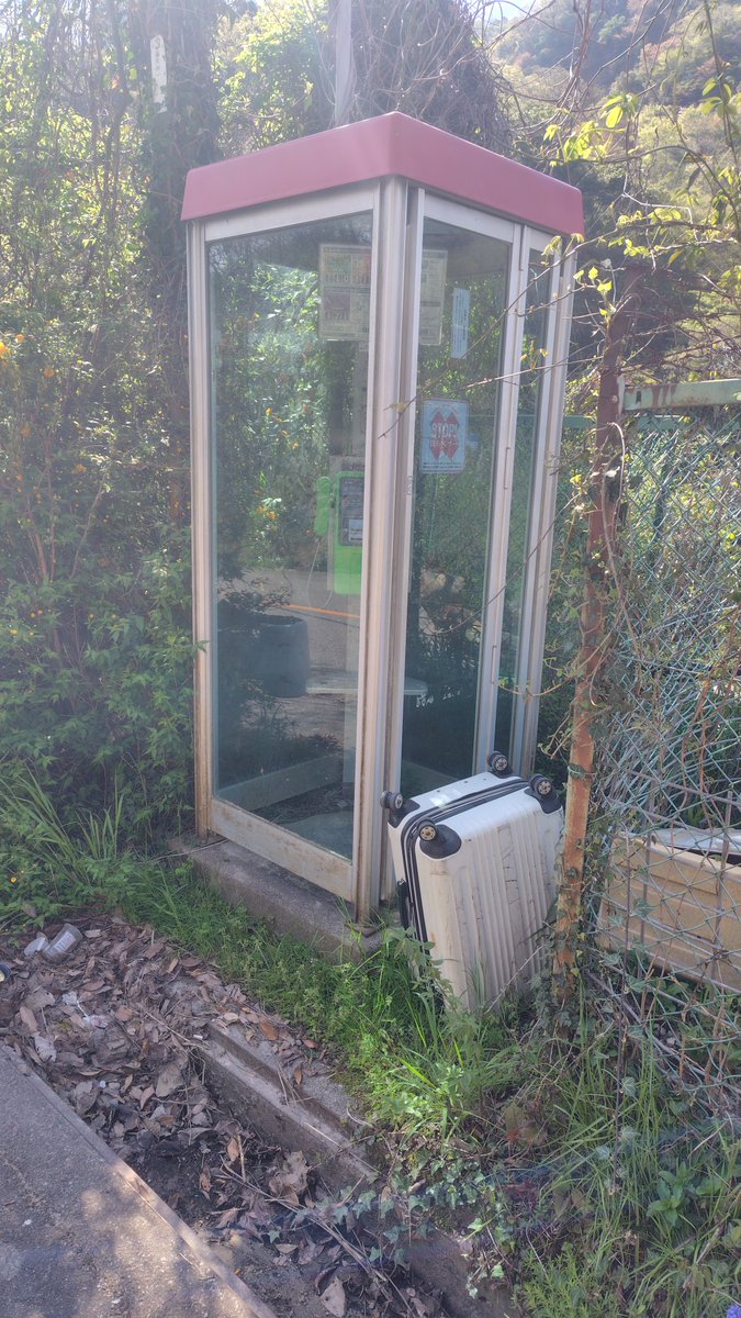 グレエス tweet media