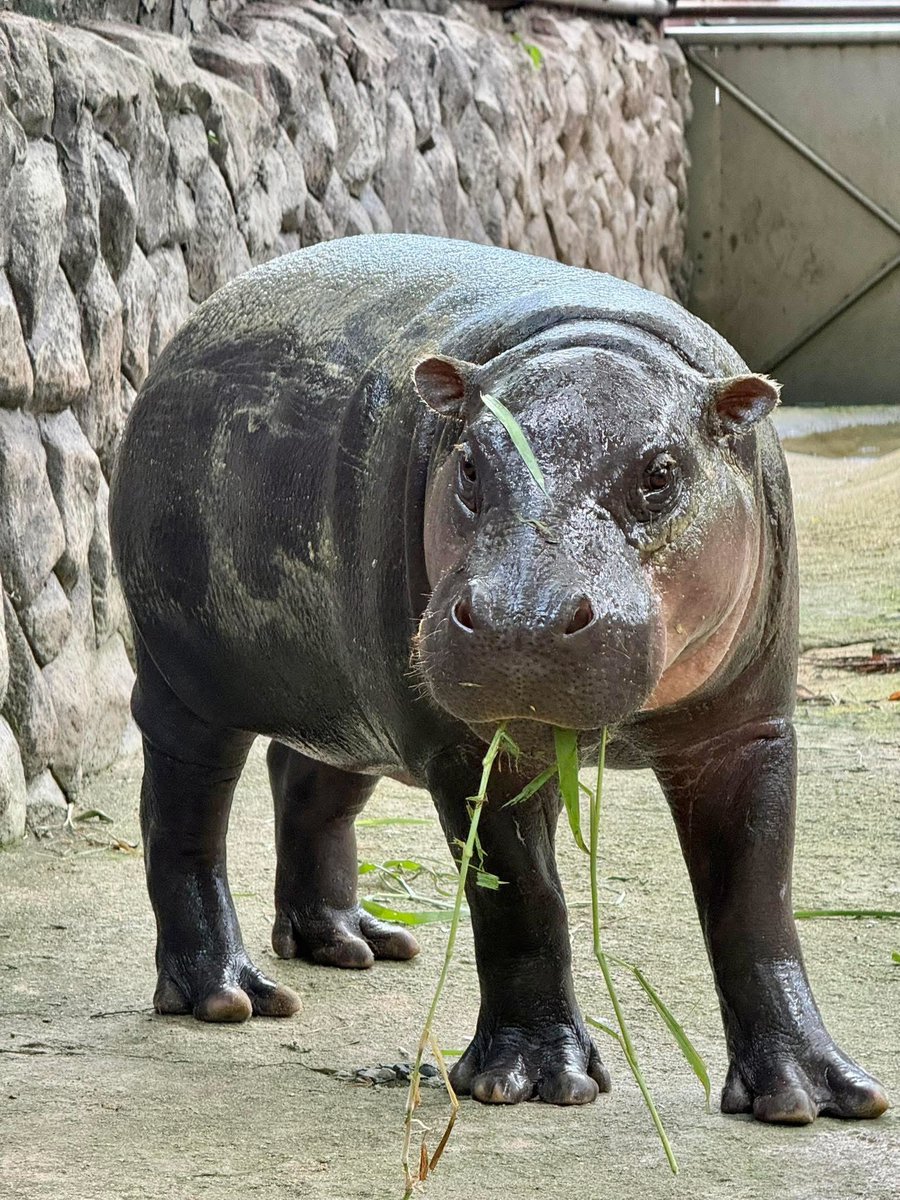 Khamoo.andthegang tweet media