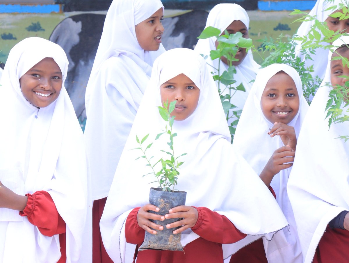 SOYDAVO1's tweet photo. Celebrated National Tree Planting Day with students today! Together, we’re taking steps toward a greener, cleaner future. 

Part of the national agenda for afforestation and environmental sustainability 

A small action today for a sustainable future 

#TreePlanting #GreenFuture https://t.co/67PaP9tu6i