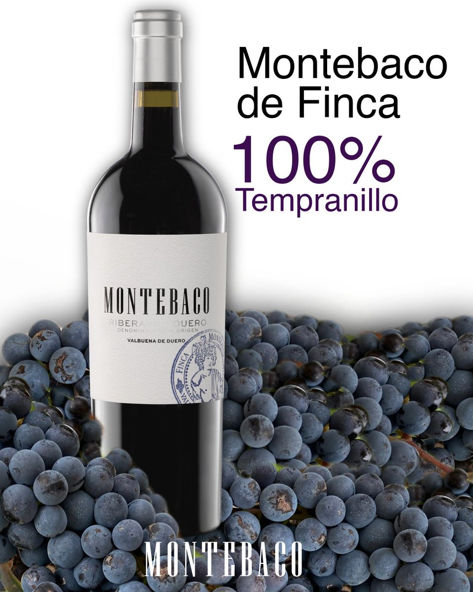BODEGAS MONTEBACO tweet media
