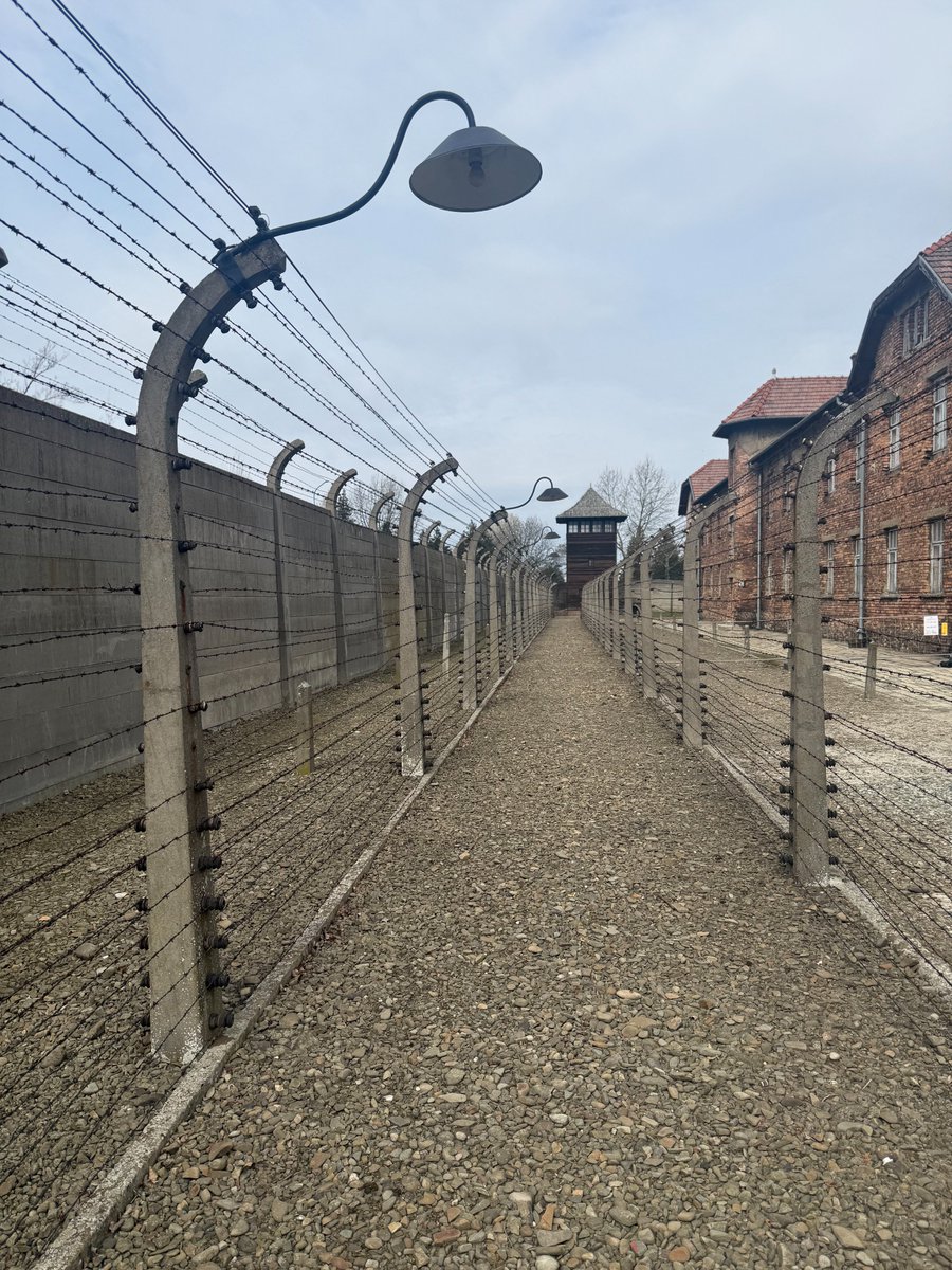 Elad Simchayoff tweet media