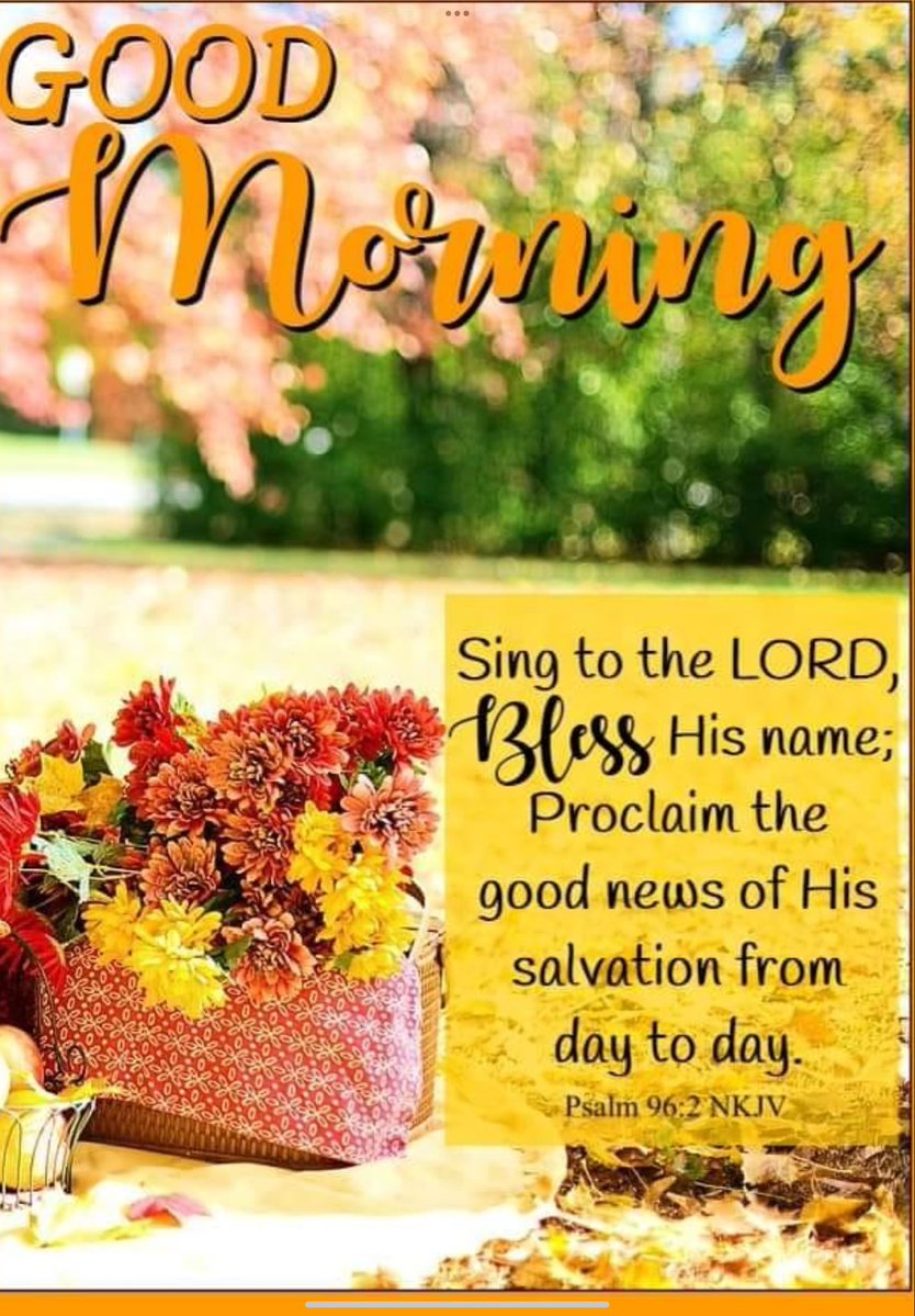 Jane Taggart🦋 (@janetaggart18) on Twitter photo 