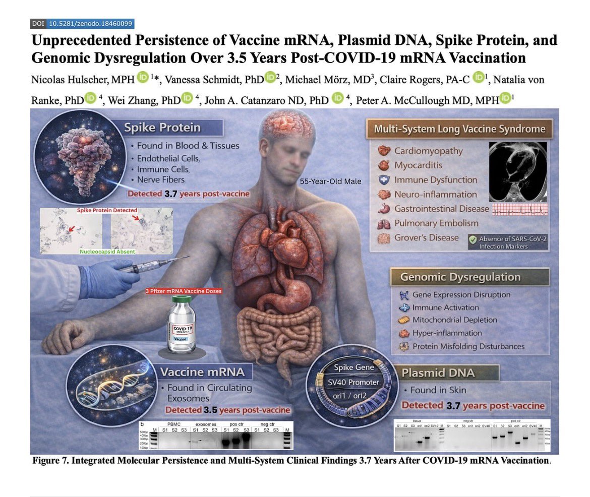 Peter A. McCullough, MD, MPH® tweet media