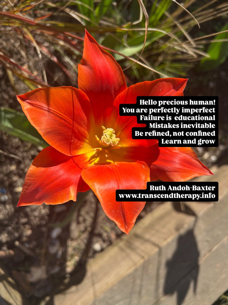 Transcend Therapy (@ruthandohbaxter) on Twitter photo 