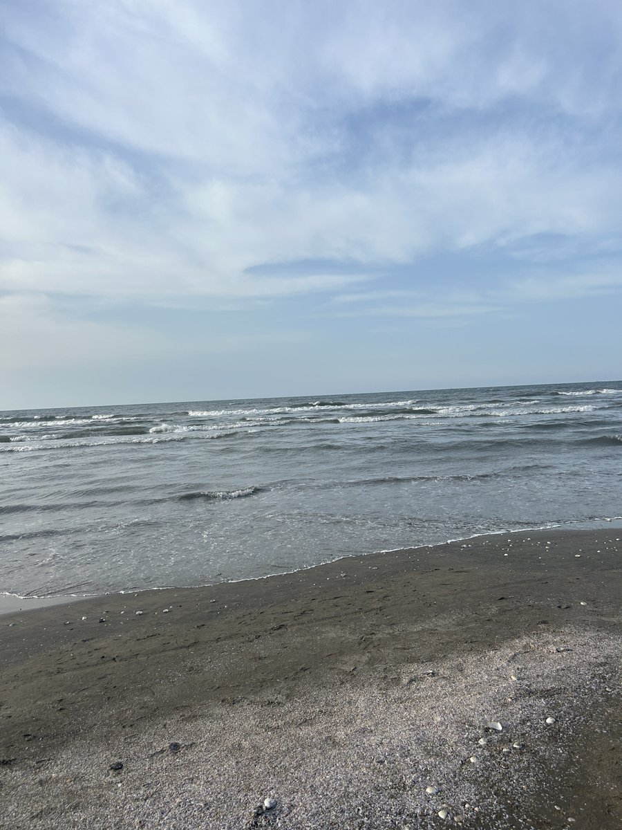 هانزززززز tweet media