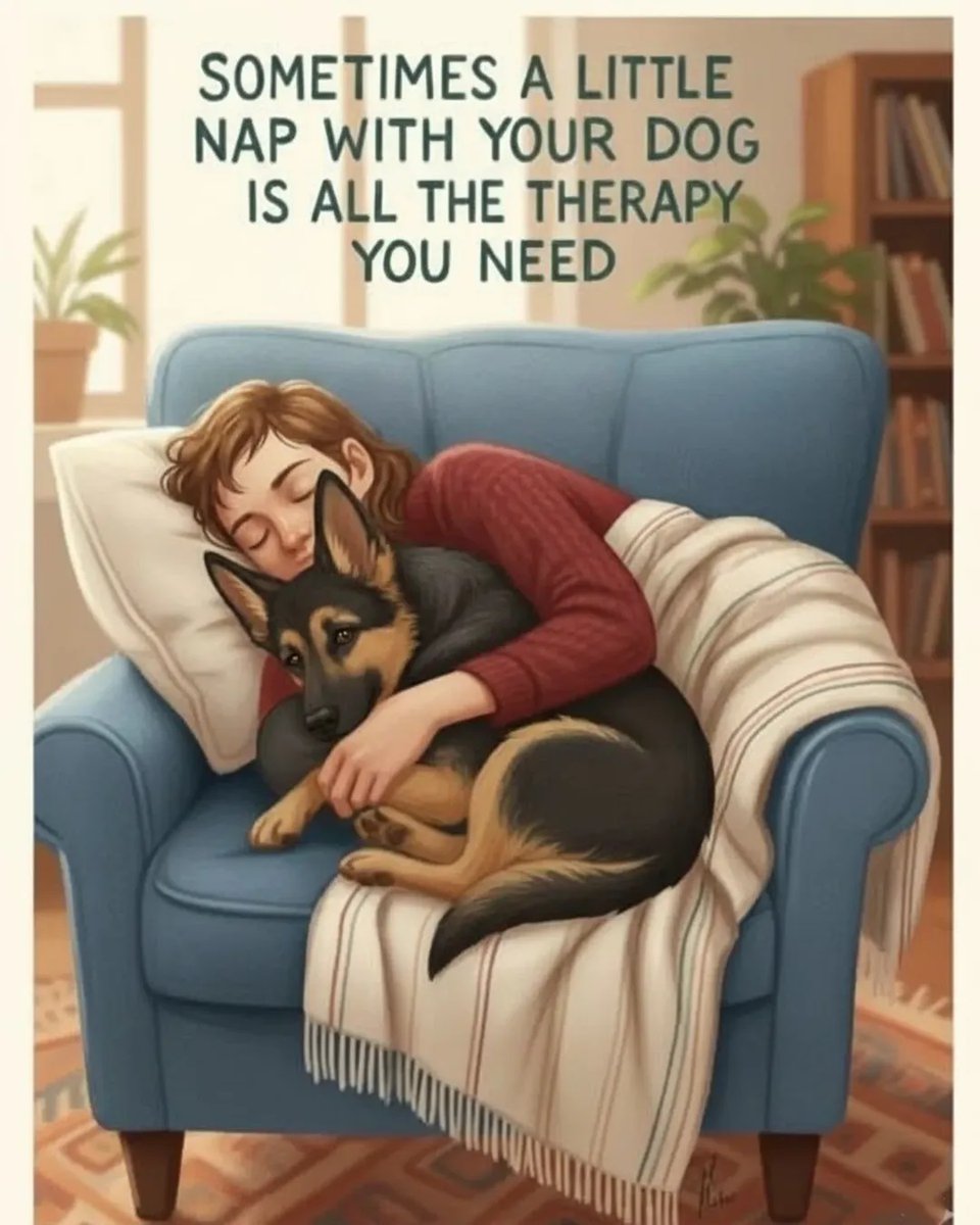 JamieFairchild tweet media