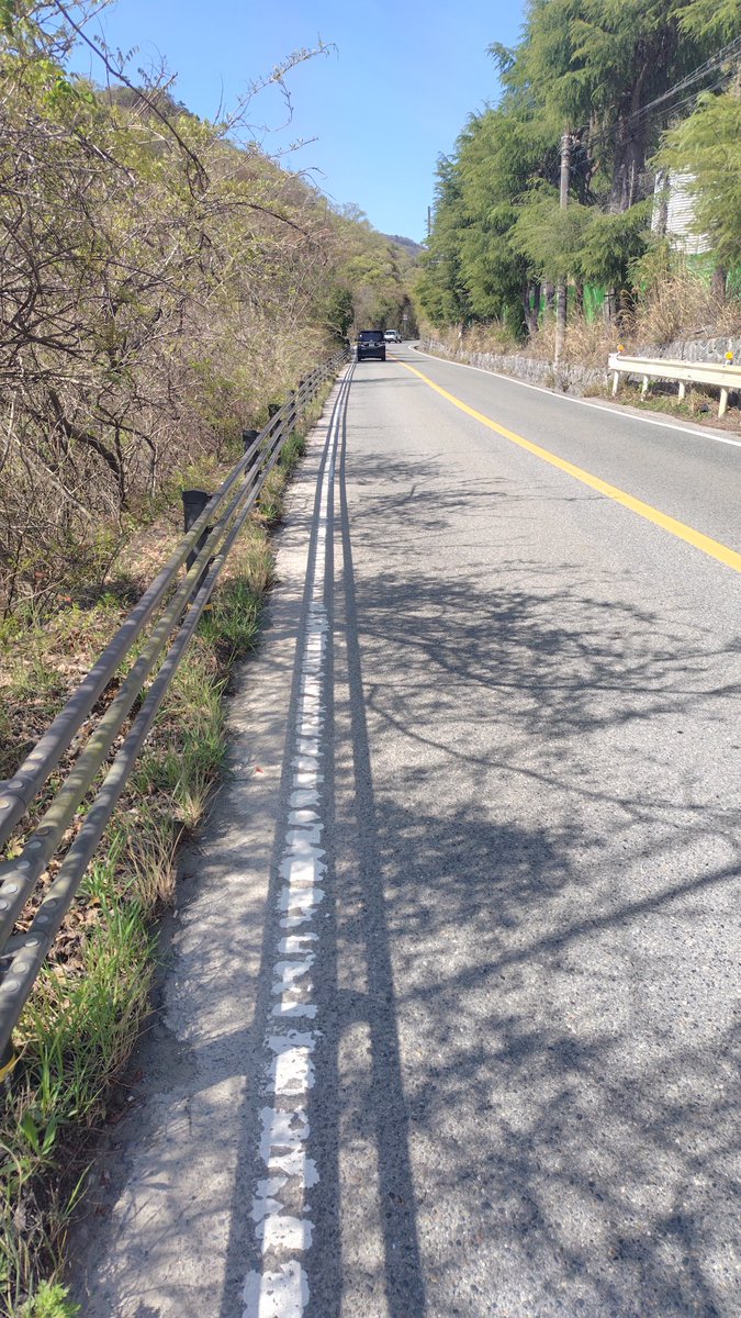 グレエス tweet media