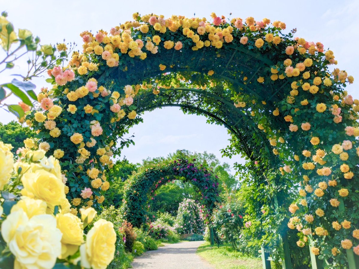 極上の旅図鑑 tweet media