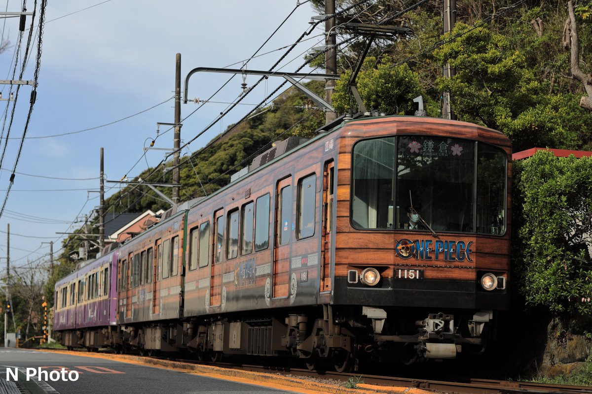 えぬ 写真垢 tweet media