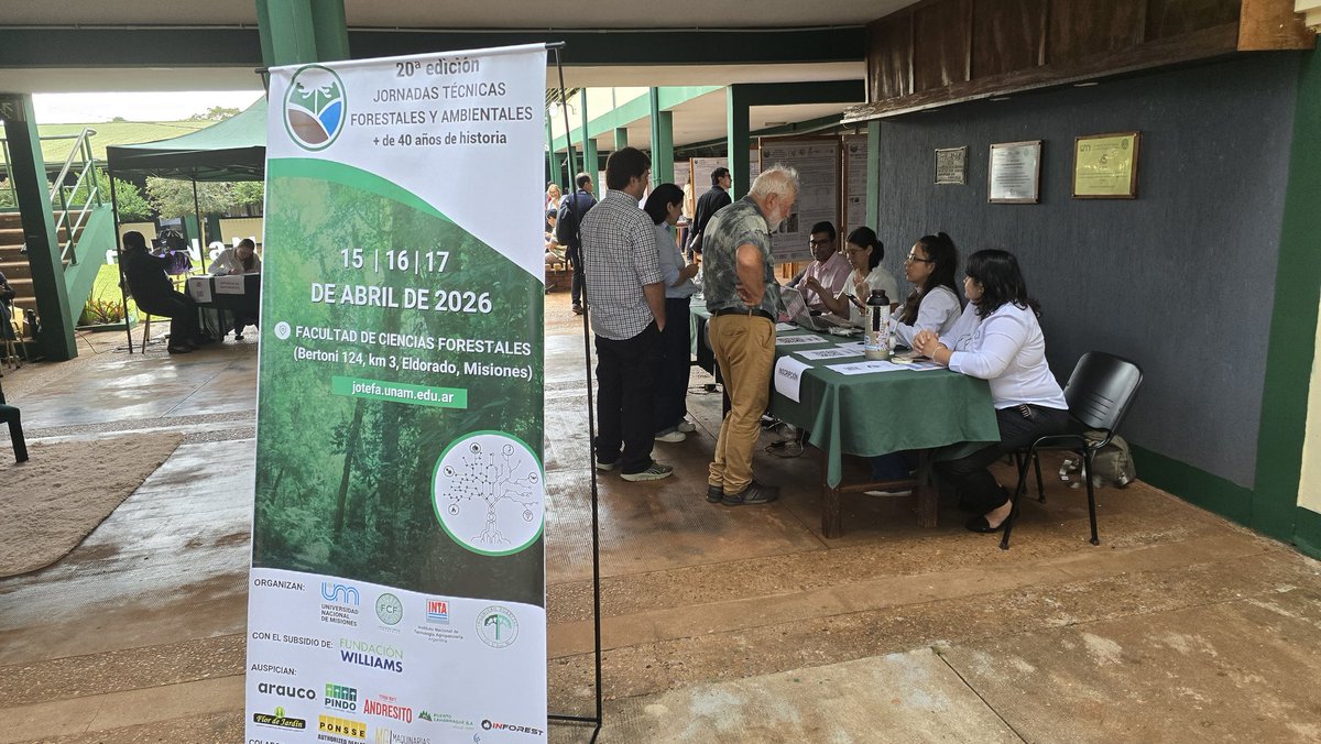 Instituto Forestal Misiones tweet media