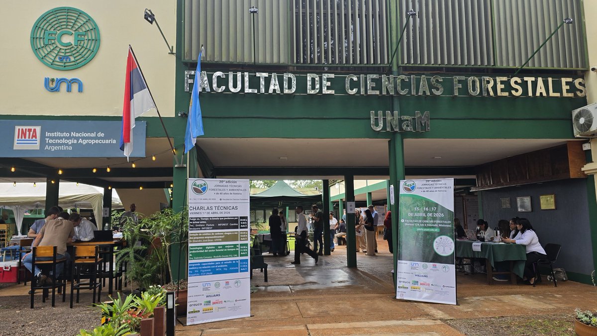 Instituto Forestal Misiones tweet media