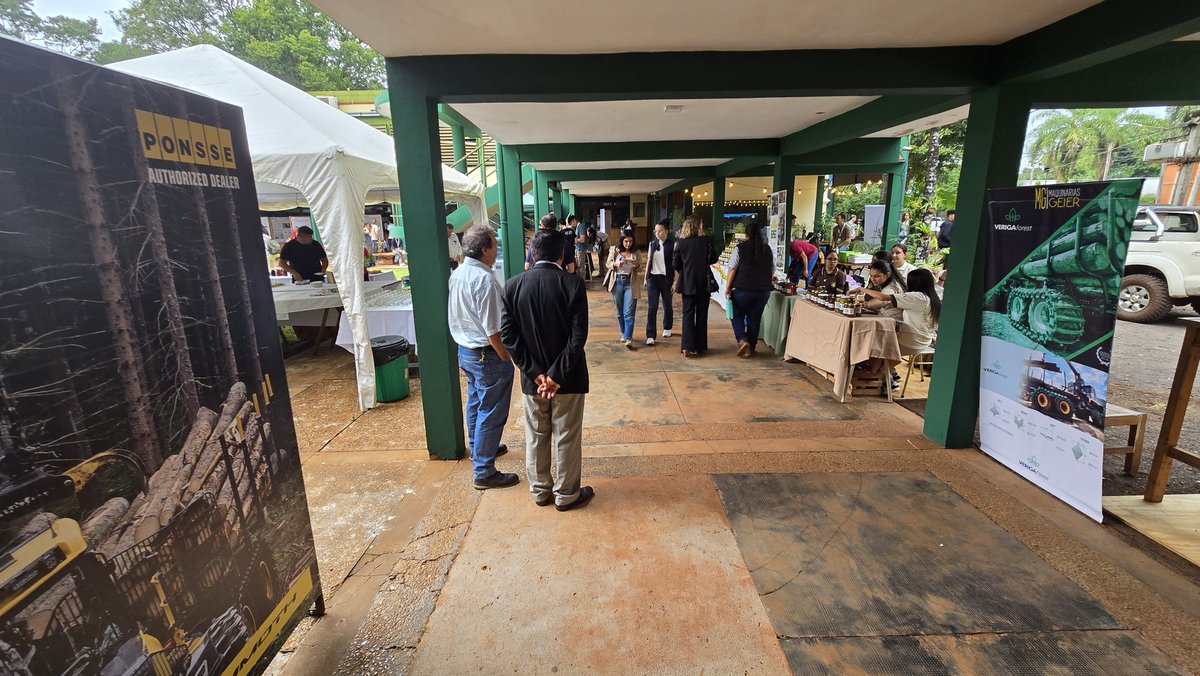 Instituto Forestal Misiones tweet media