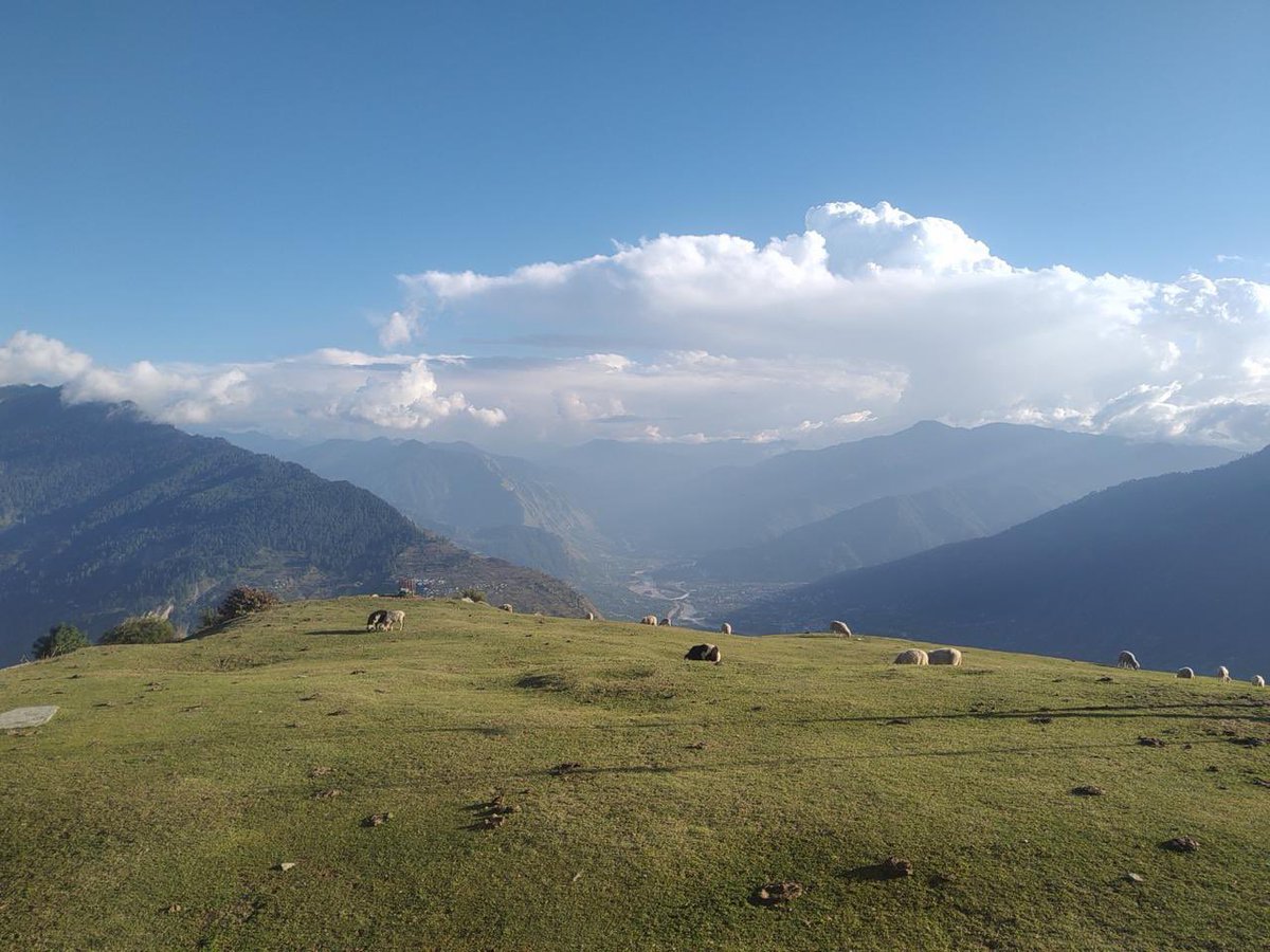 MaverickBunny's tweet photo. I know I’m a bit late …been travelling but Happy Himachal Day to everyone, especially my fellow Pahadi folks here on Twitter ❤️
Can’t thank God enough for letting me be born in this Devbhoomi. Every single day here feels like a blessing. Always grateful 🙏#HimachalDay #Pahadi🫶🏻 https://t.co/jdCSbmbD87