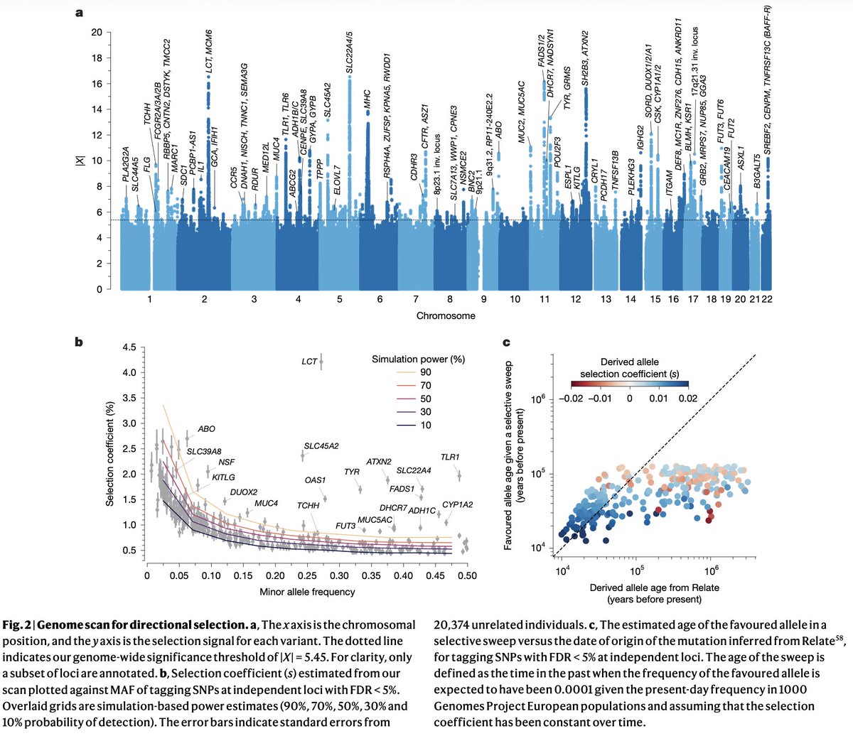 Daniel Tabin tweet media