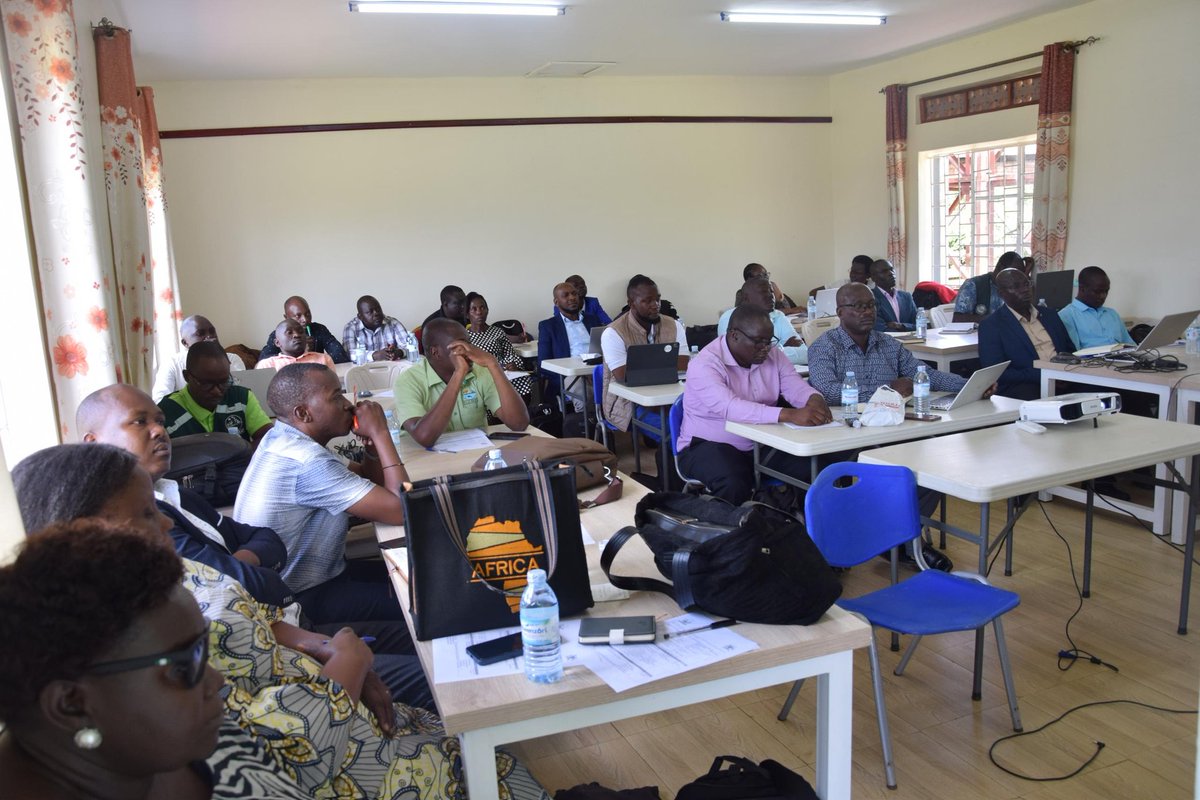 NARO_BUGIZARDI tweet media