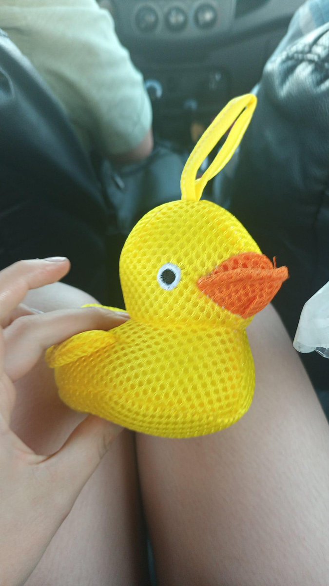 LuciferM20458's tweet photo. BEHOLD!! 
ALL MY DUCKS https://t.co/0po3rKWcUa