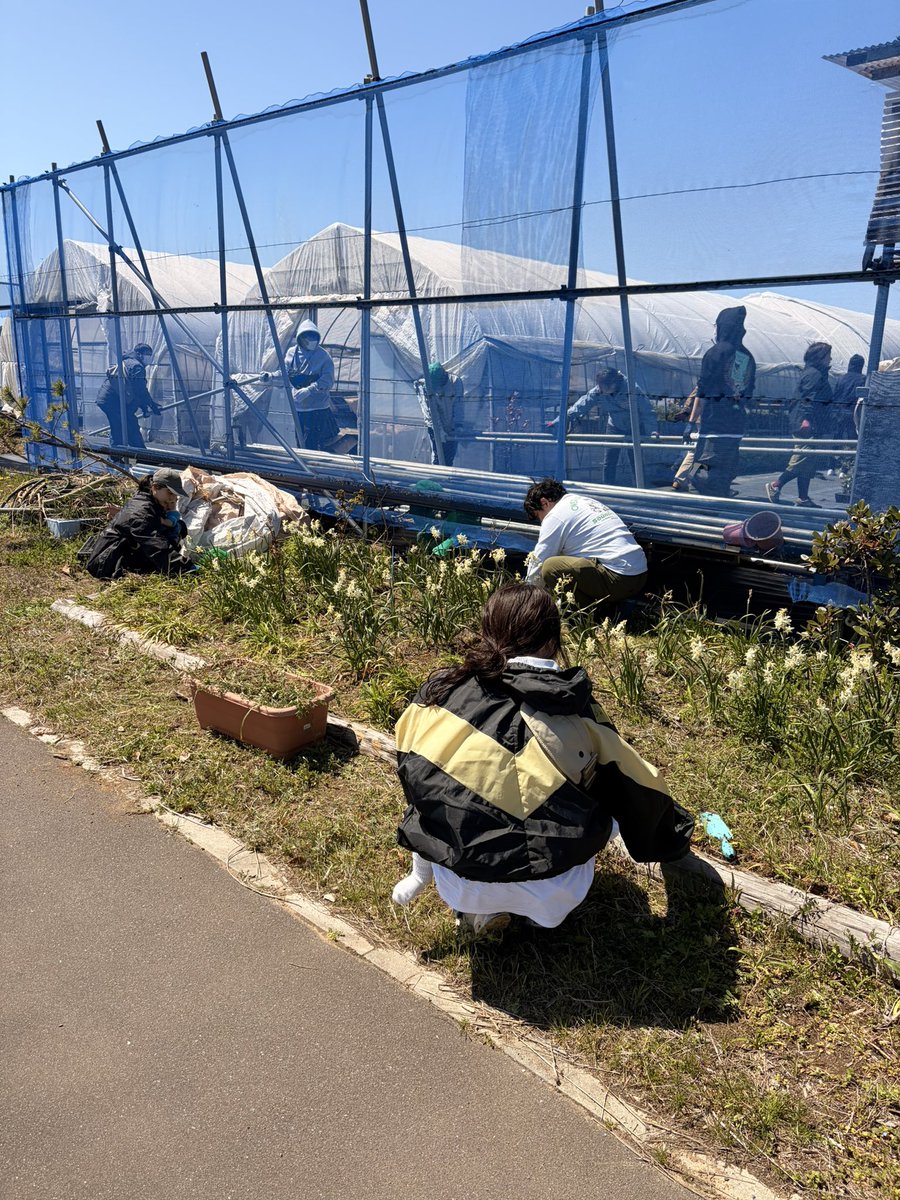 opipiphi's tweet photo. 苗木の映像が温かさでいっぱいだ🥰

後ろで苗木ちゃんを運べないちびっこ達やその家族の方は
プランターの草取り頑張ってくれてました🌱🤍

なんだか保育園みたいで可愛かったな🥰 https://t.co/LDT6U9hz0x