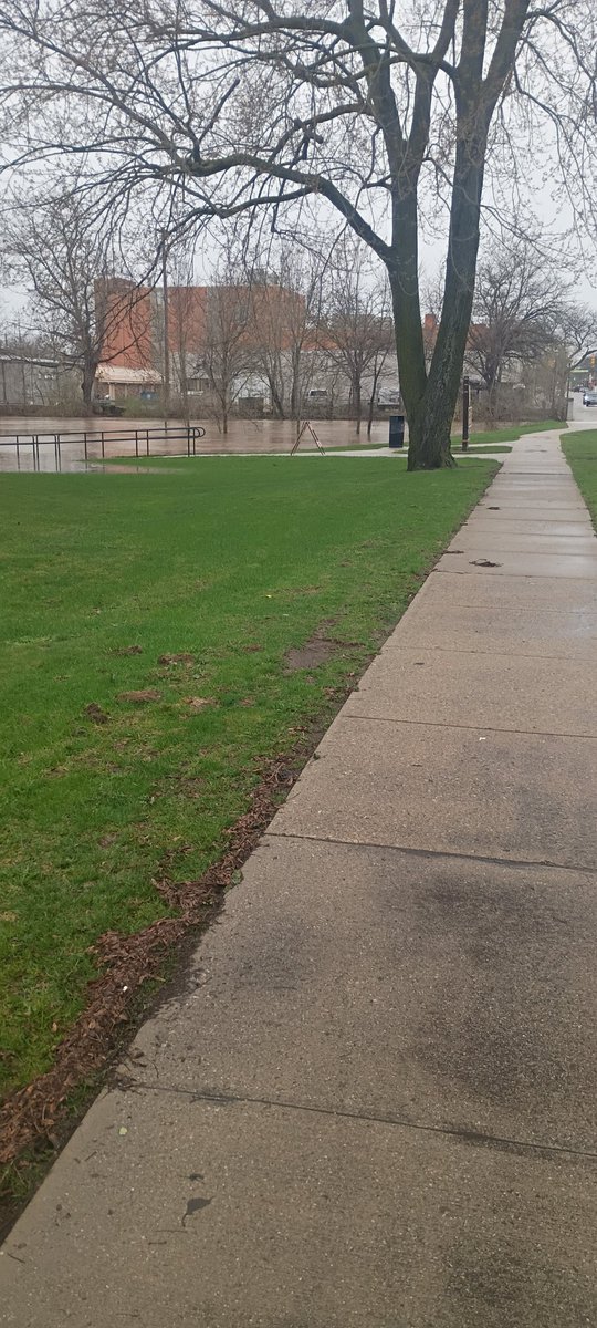 kuja488's tweet photo. @ryanhallyall this is the Pine River in Alma, MI after last night's storms. https://t.co/VC1PMaKSwv