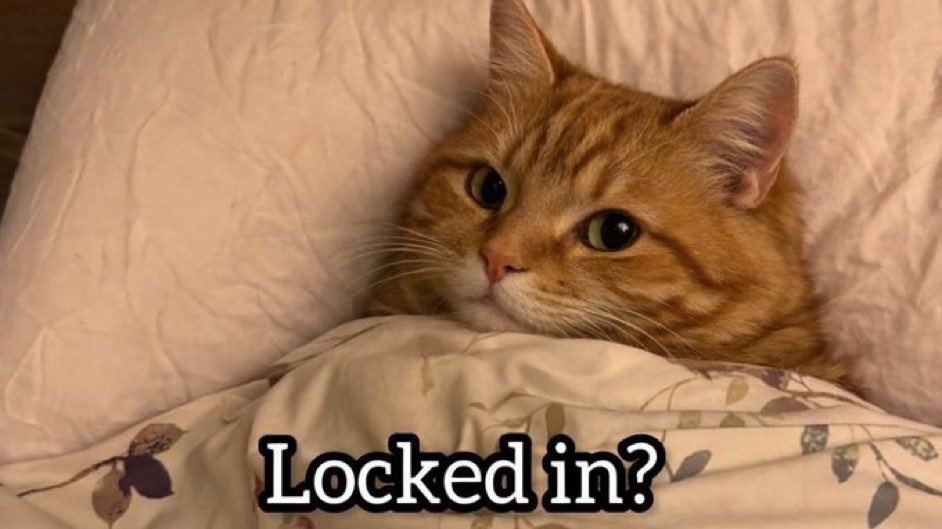 tea • bed recovery tweet media