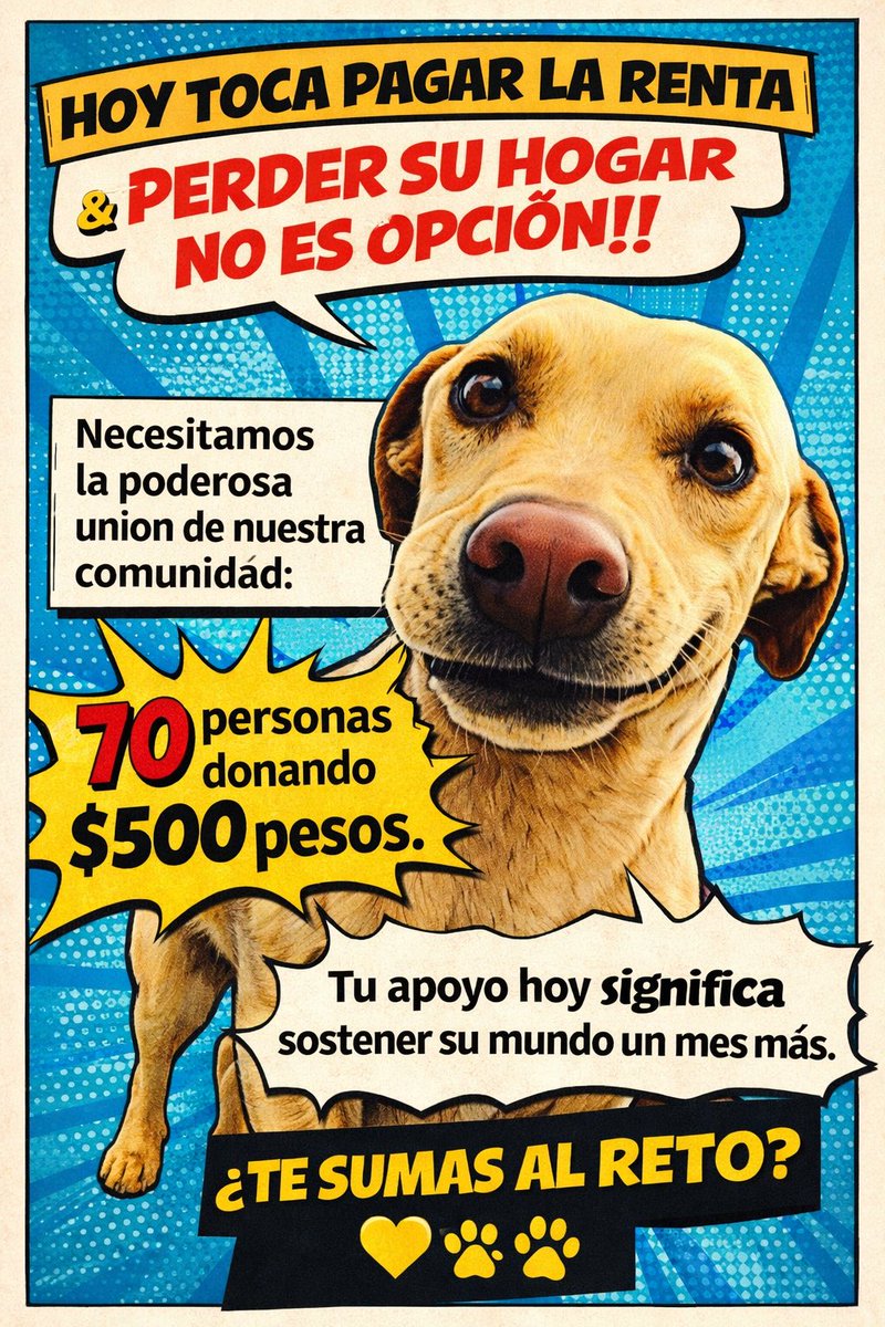 Cuando nadie más estuvo…
este lugar sí. 
No lo dejemos caer 🙏

Cuentas Toby

- BANCOMER
Cuenta: 0117412991
Clabe: 012180001174129915

- SANTANDER
 Cuenta: 60577008001
Clabe: 014180605770080014
 
- Mercado pago
Clabe: 722969010583593935
Tarjeta: 5428785111220215

- Paypal