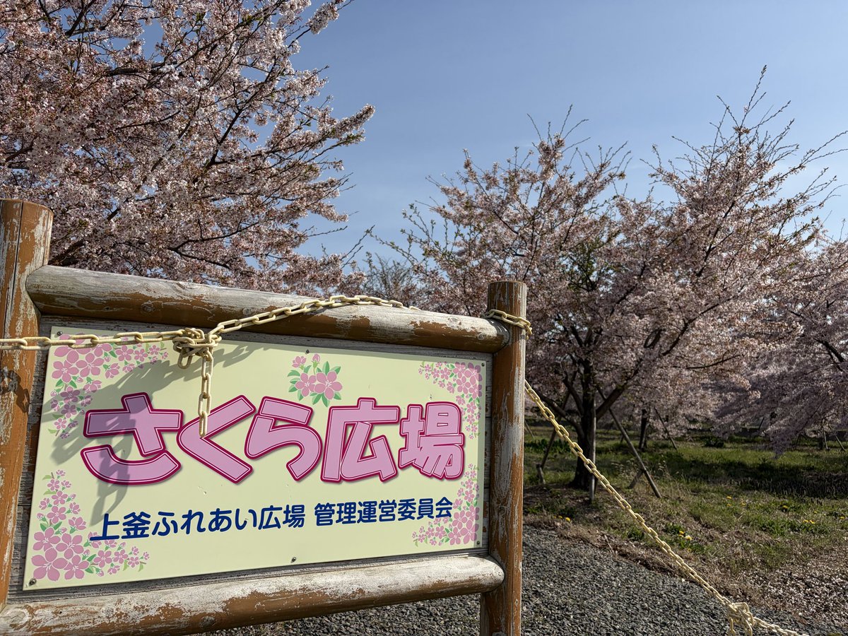 ラジオ石巻 tweet media