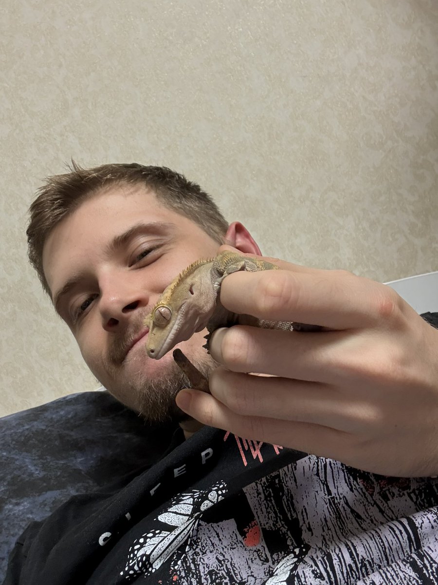 𓆉𓆉𓆉 tweet media