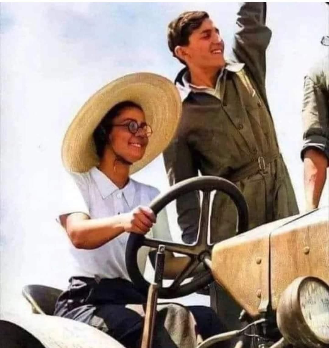 ihtiyar_33_ tweet media