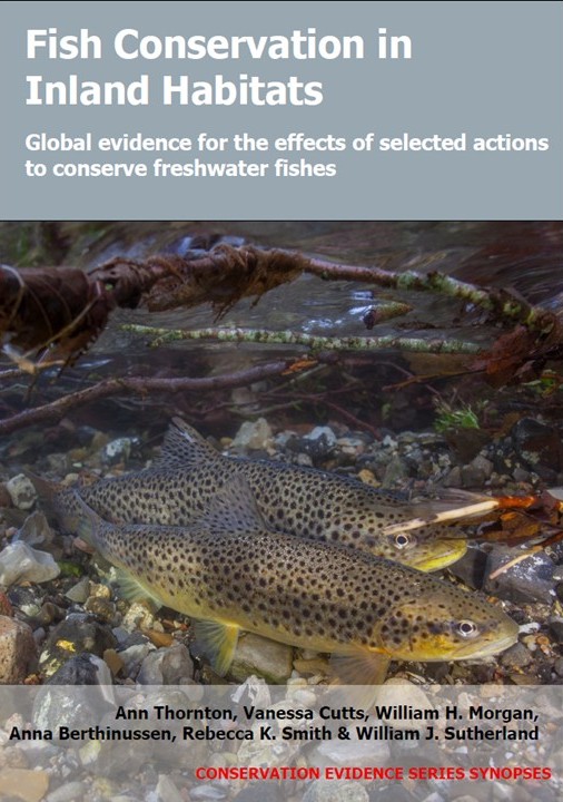 Conservation Evidence tweet media