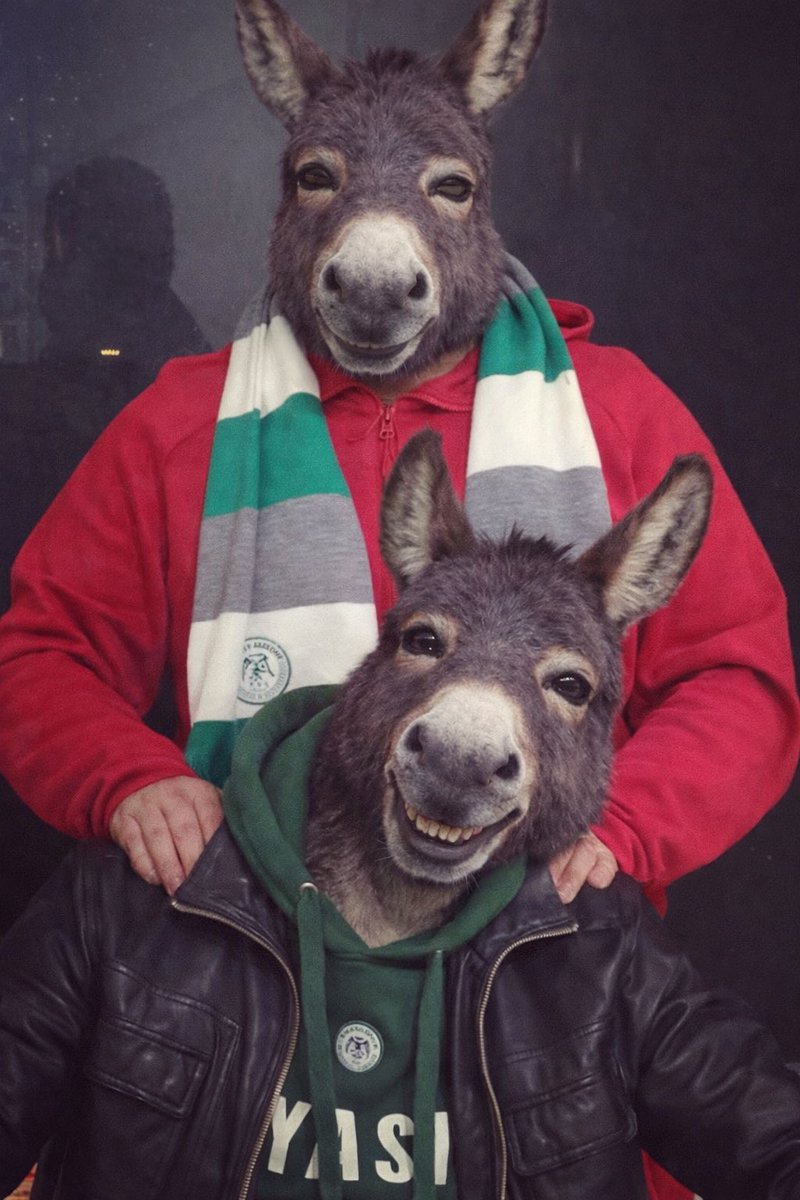 CURVA 1981 tweet media