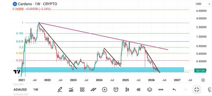 🪏Mintern tweet media