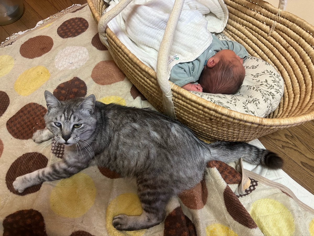 お兄ちゃん気分で見張り番