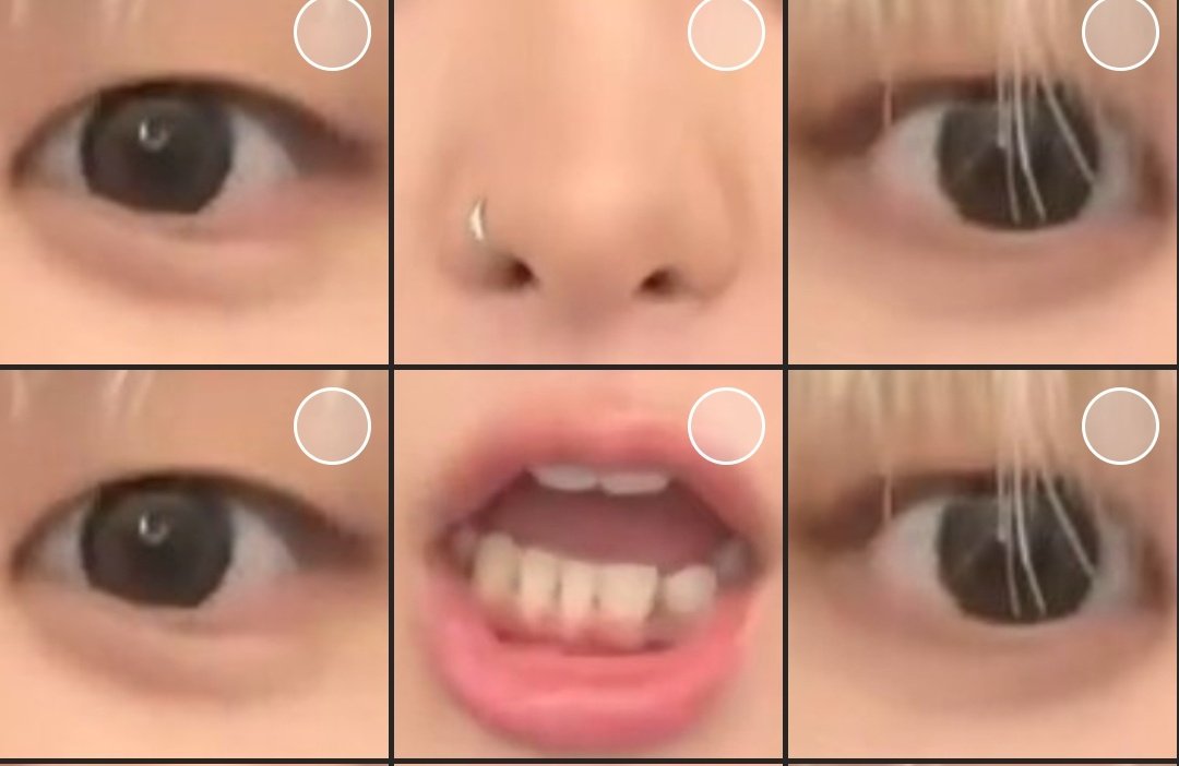 div 🪱 tweet media