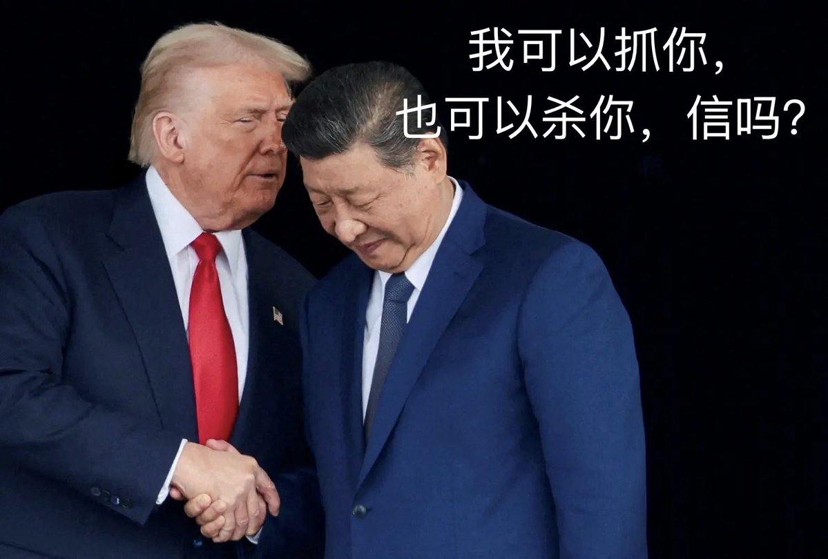 老實說熊熊 tweet media