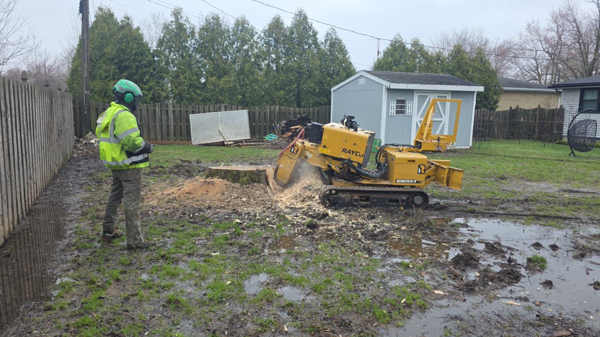 kdtrees_buffalo's tweet photo. Work in progress π³βοΈ
Grinding this stump the right way, no shortcuts, just precision, power & patience. Even in tough, muddy conditions, we deliver a clean, safe finish every time. πͺ
π 716-220-7282
#StumpGrinding #TreeService #LandClearing #YardCleanup #ProfessionalService https://t.co/Gt1F0CVFDv