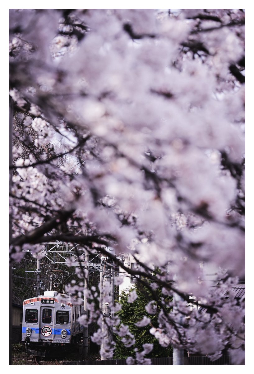 蒼生@青鉄 tweet media