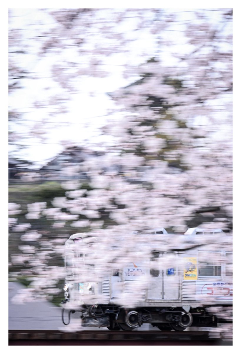 蒼生@青鉄 tweet media